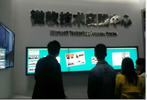 軟件開發(fā) 研究、設(shè)計(jì)、開發(fā)與維護(hù)計(jì)算機(jī)軟硬件系統(tǒng)的綜合能力